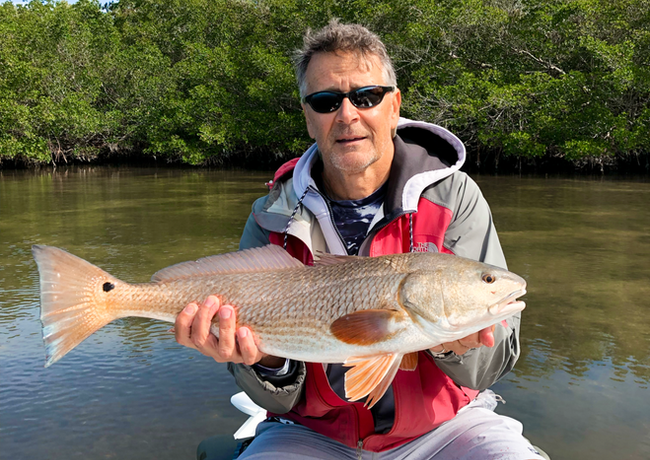 Man in sunglasses holding a reddish-brown redfish, in a boat near mangrove trees.