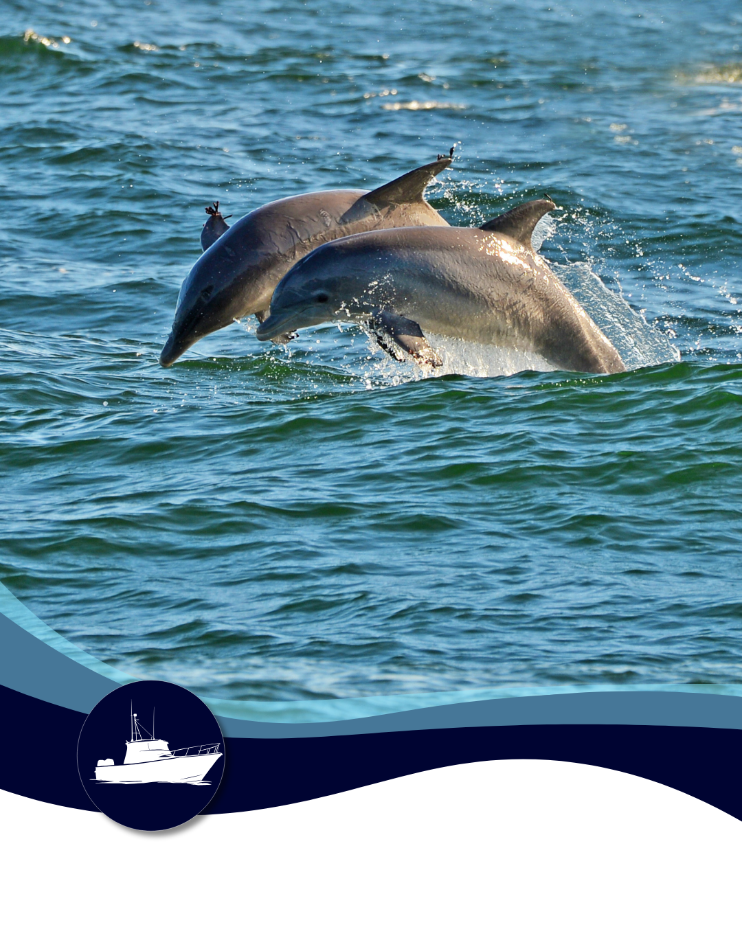 Two dolphins leap from blue ocean water.