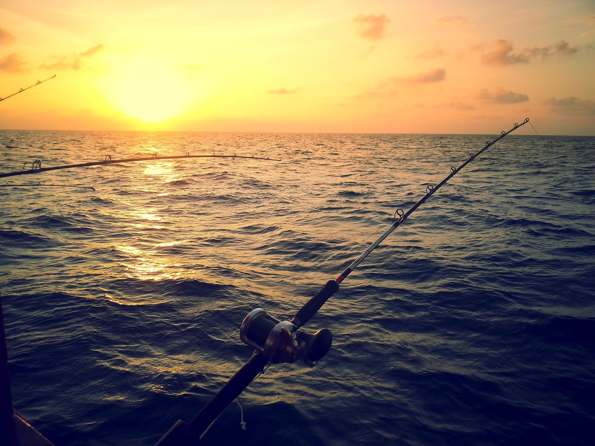 Fishing rods cast on the ocean at sunset, with golden light reflecting on the water.