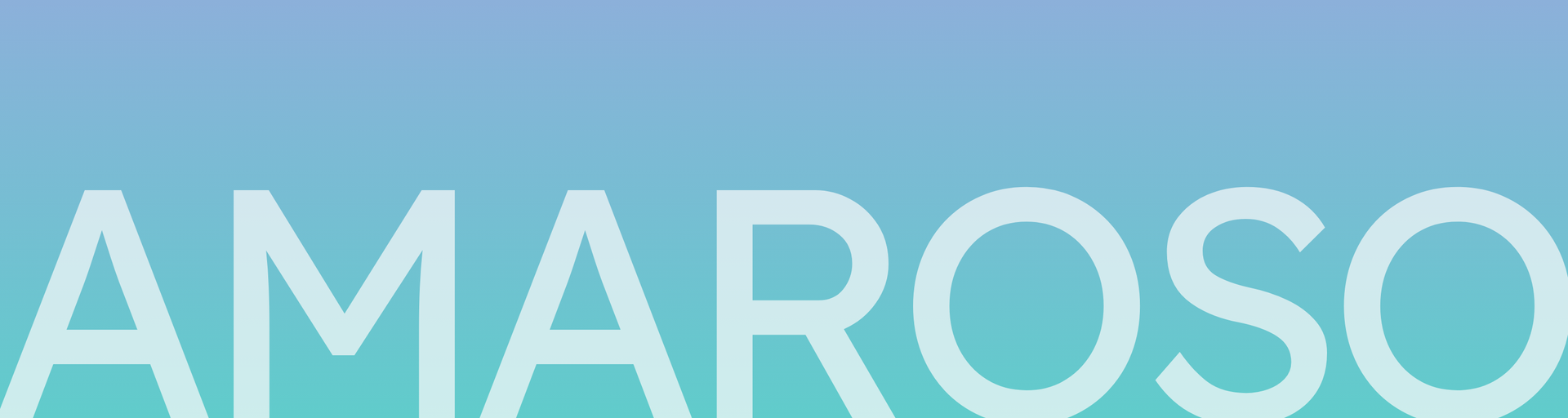 Amaroso Boutique portfolio page title and hero image