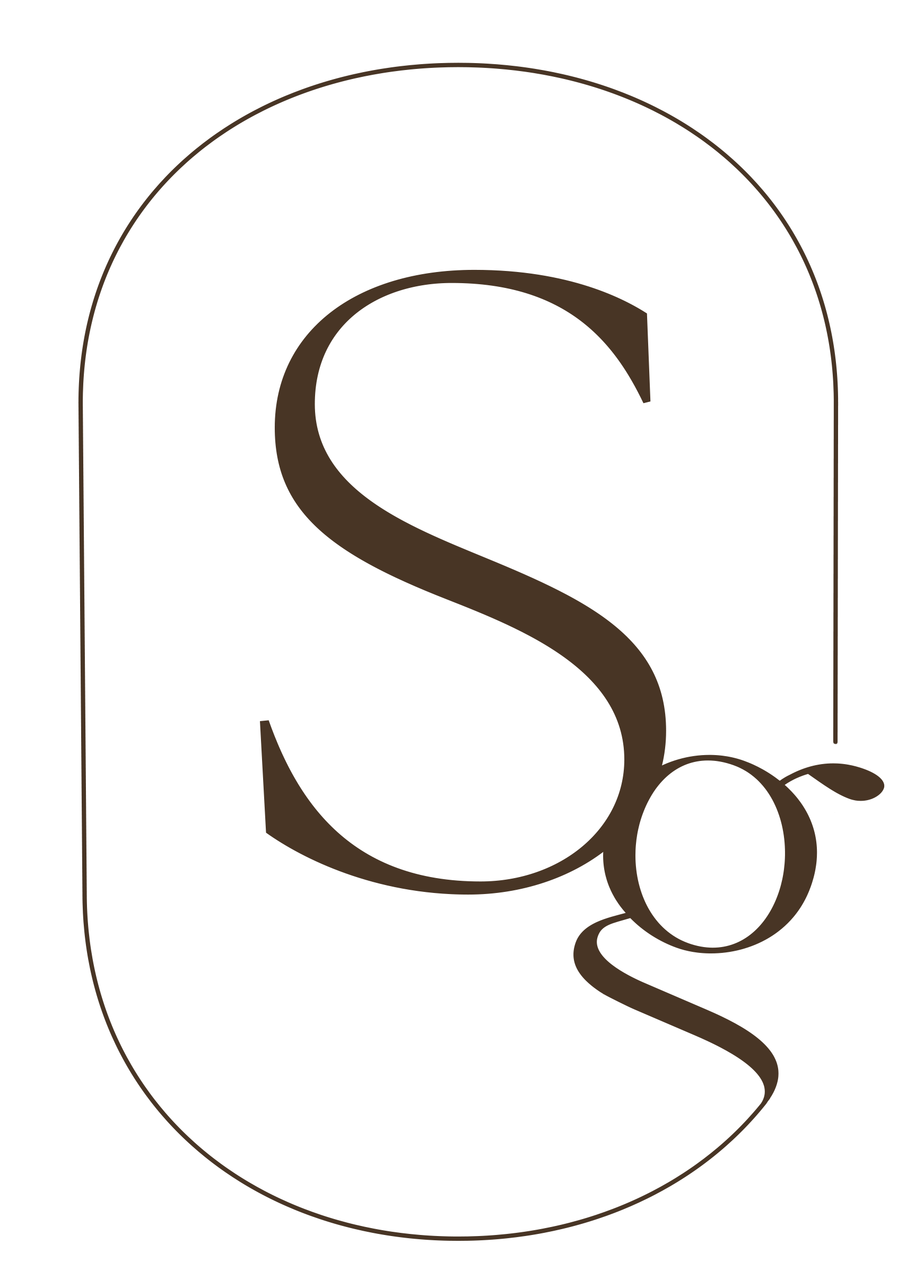 Silk graphics icon logo in plain white with transparent background