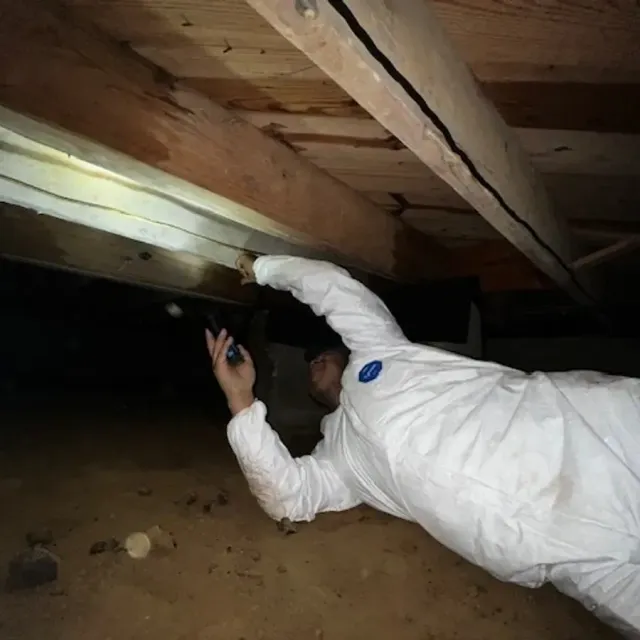 A person in white protective coveralls inspects the wooden floor joists in a dark crawlspace using a flashlight.