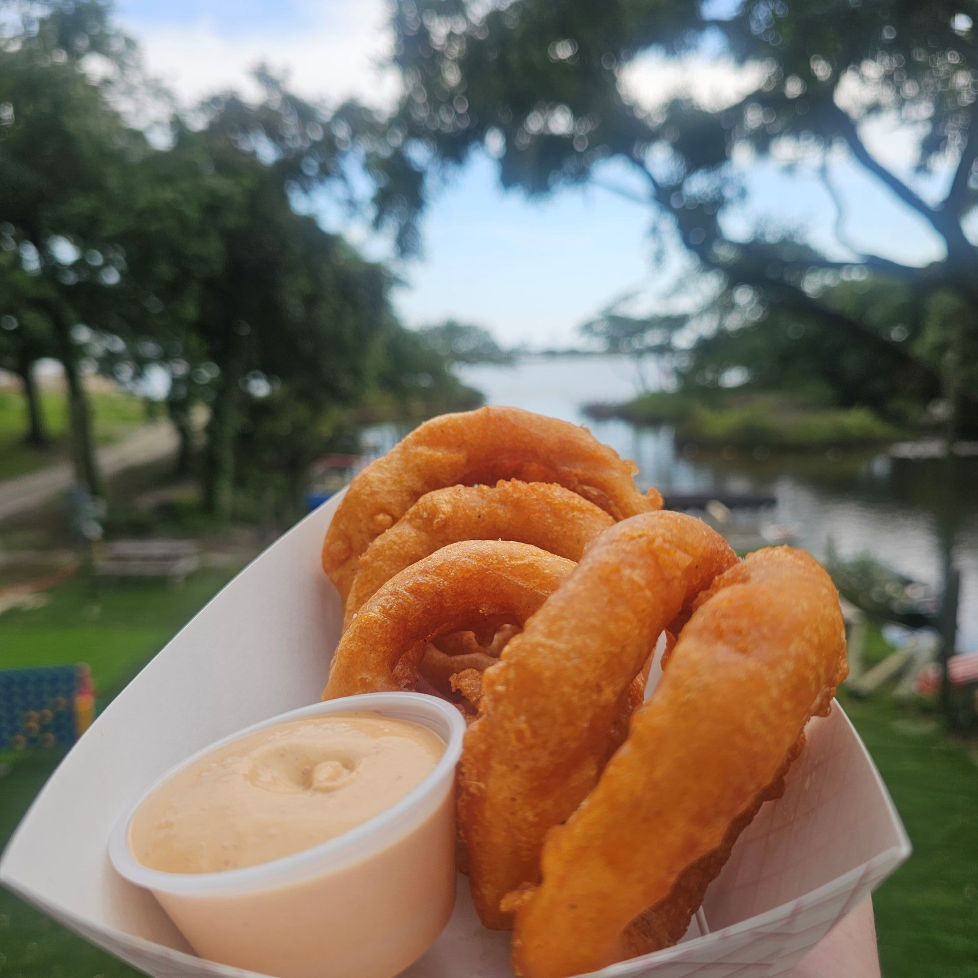 A person is holding a paper container of onion rings and dressing.