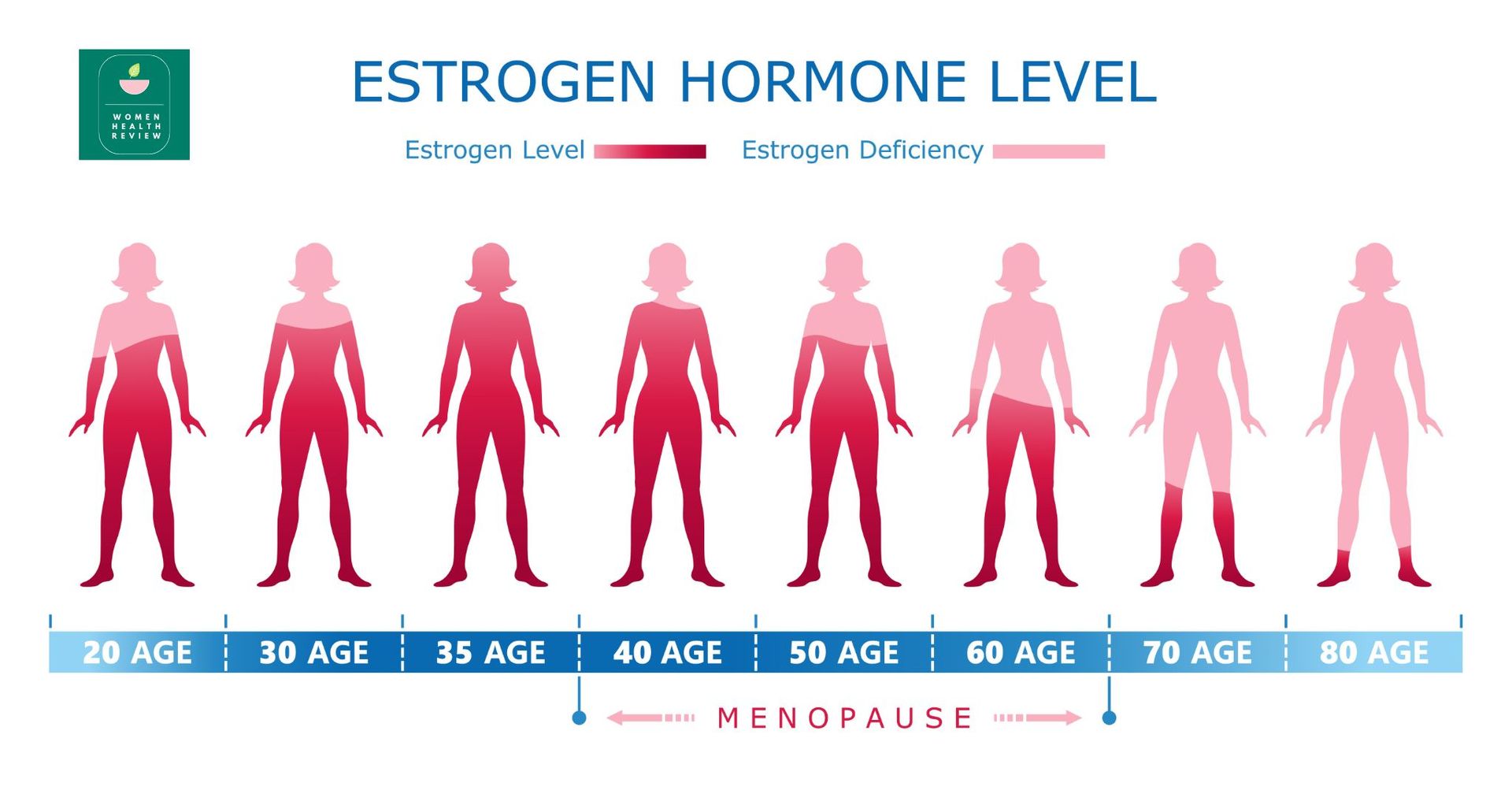 Estrogen hormone levels in women of varying ages
