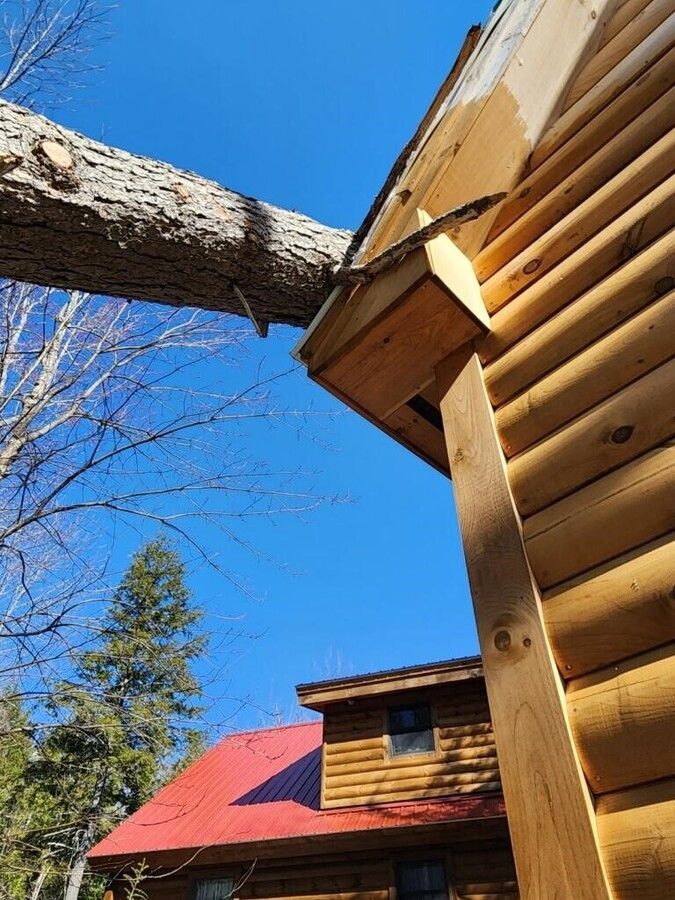 A log cabin with a red roof and a tree branch hanging off of it.