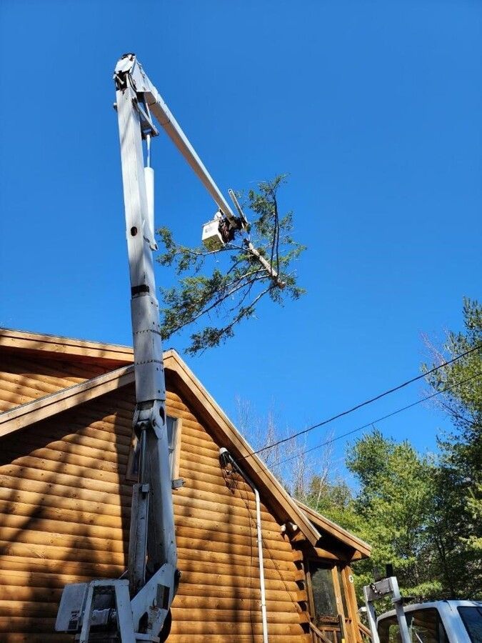 A crane is cutting a tree in front of a log cabin.