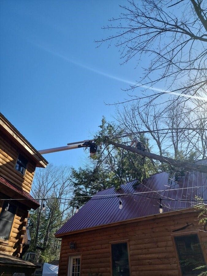 A man is cutting a tree on the roof of a log cabin.