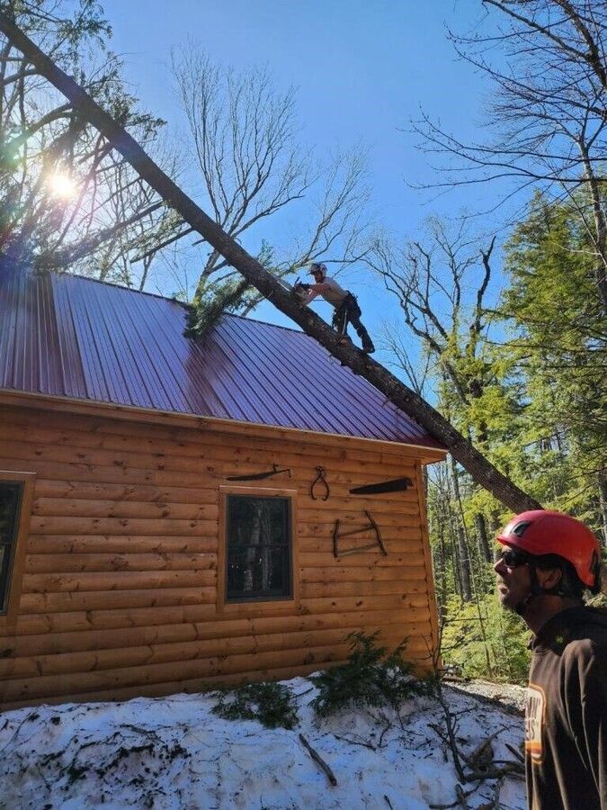 A man is standing in front of a log cabin with a tree on the roof.