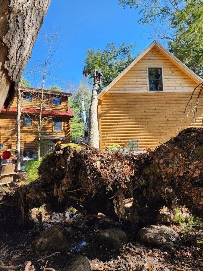 A log cabin with a fallen tree in front of it