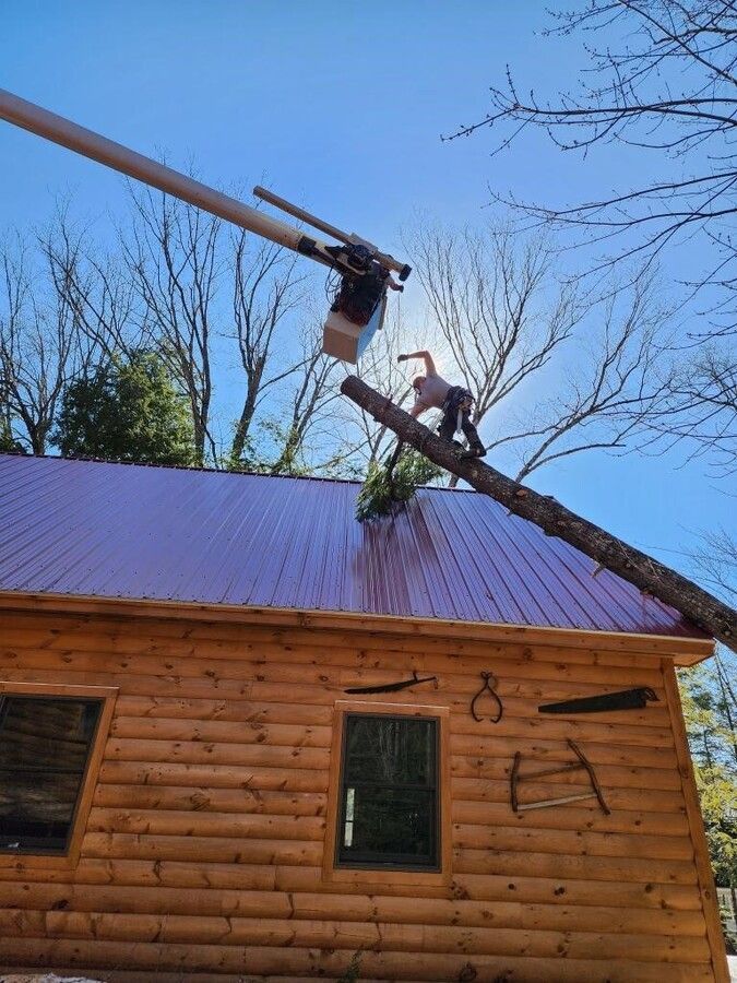 A man is cutting a tree on the roof of a log cabin.