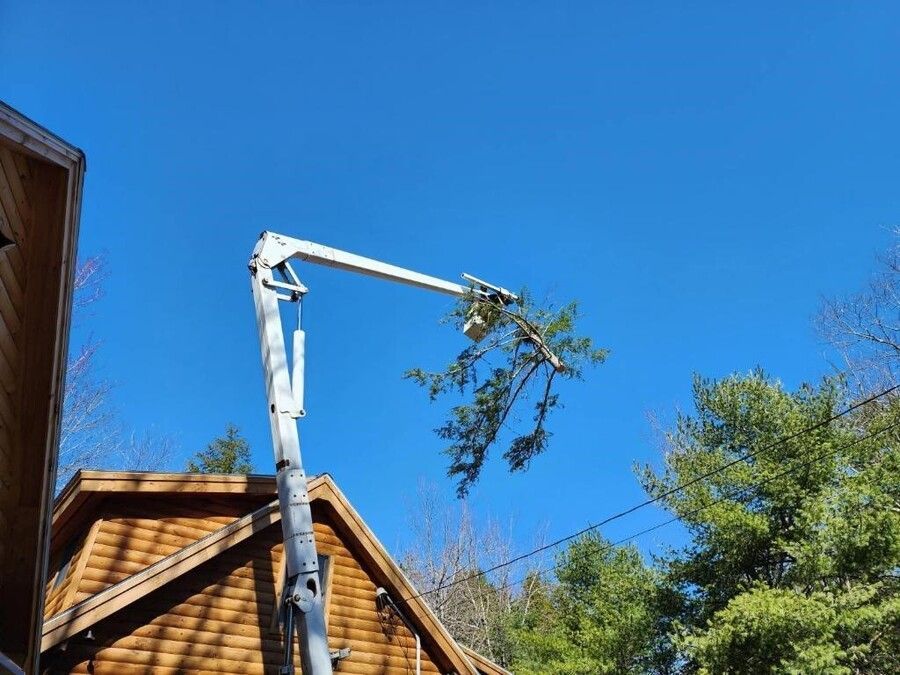 A crane is cutting a tree in front of a house.