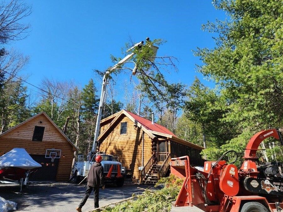 A man is cutting a tree in front of a house.