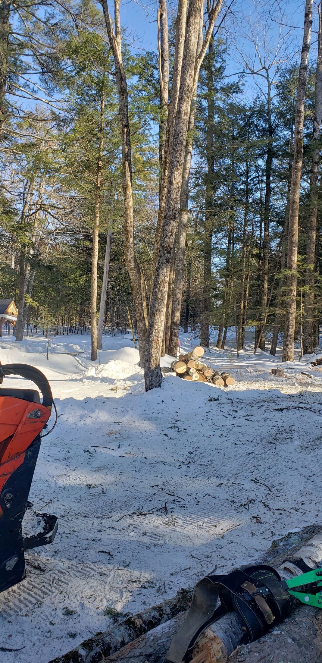 A snowmobile is parked in the snow in the woods.