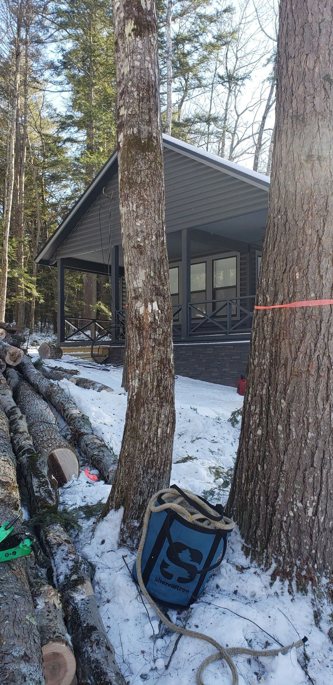 A blue bag is sitting next to a tree in the snow in front of a house.