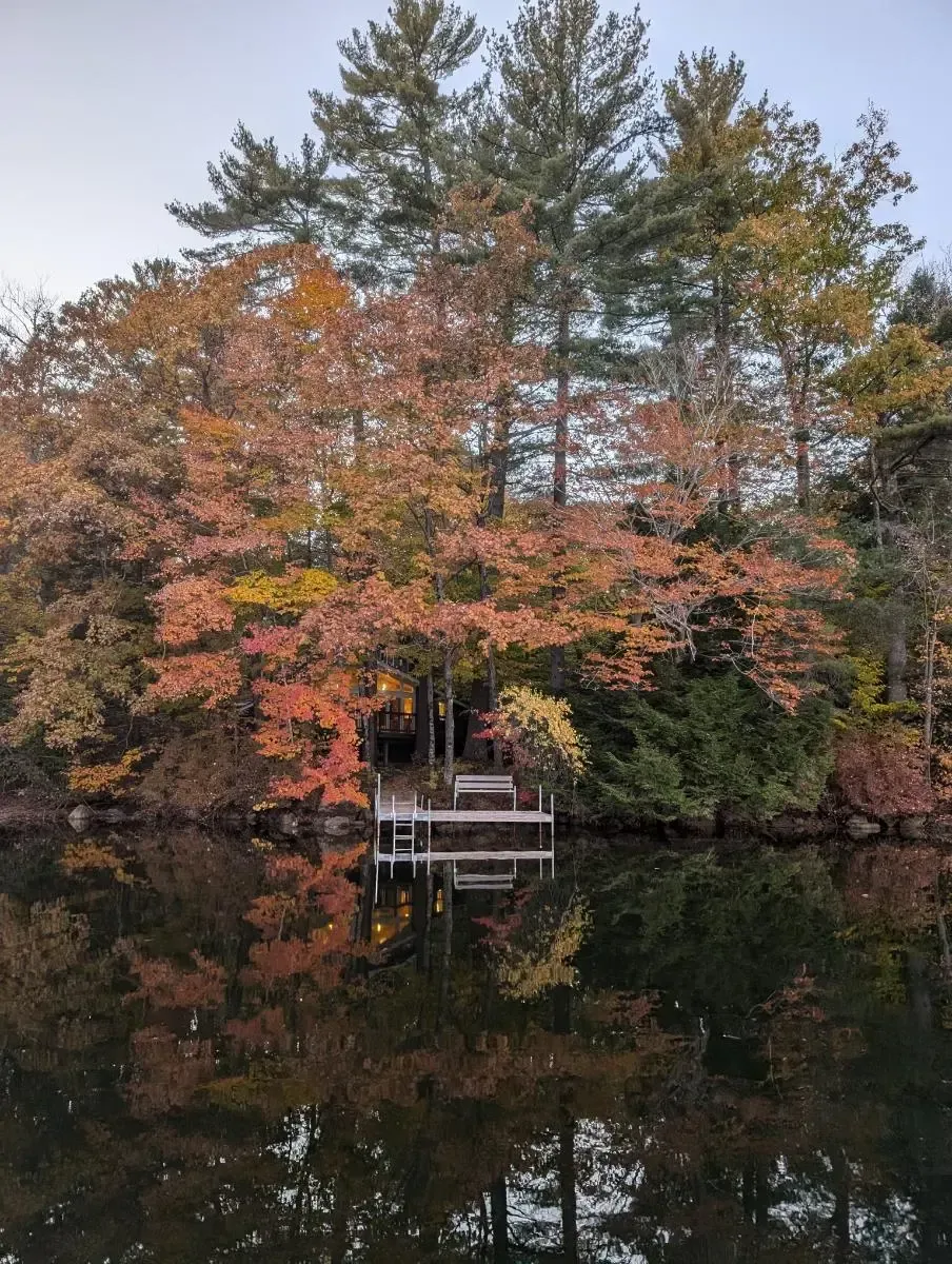 There is a dock in the middle of a lake with trees in the background.
