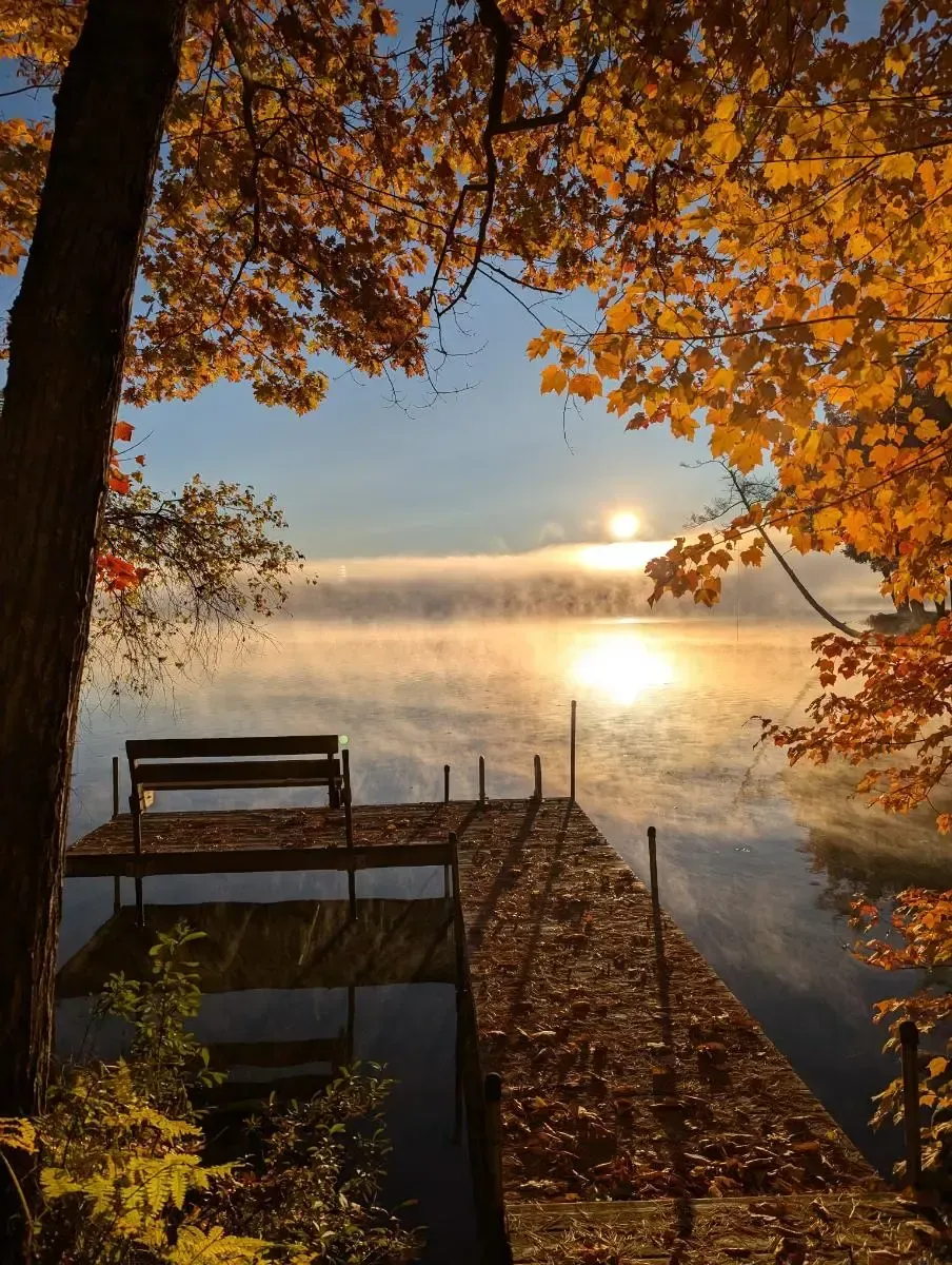 A dock overlooking a lake with the sun shining through the trees.