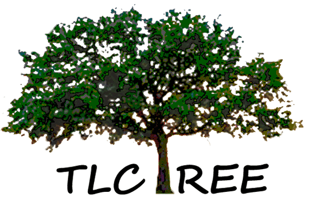 A tree with the words tlc tree below it