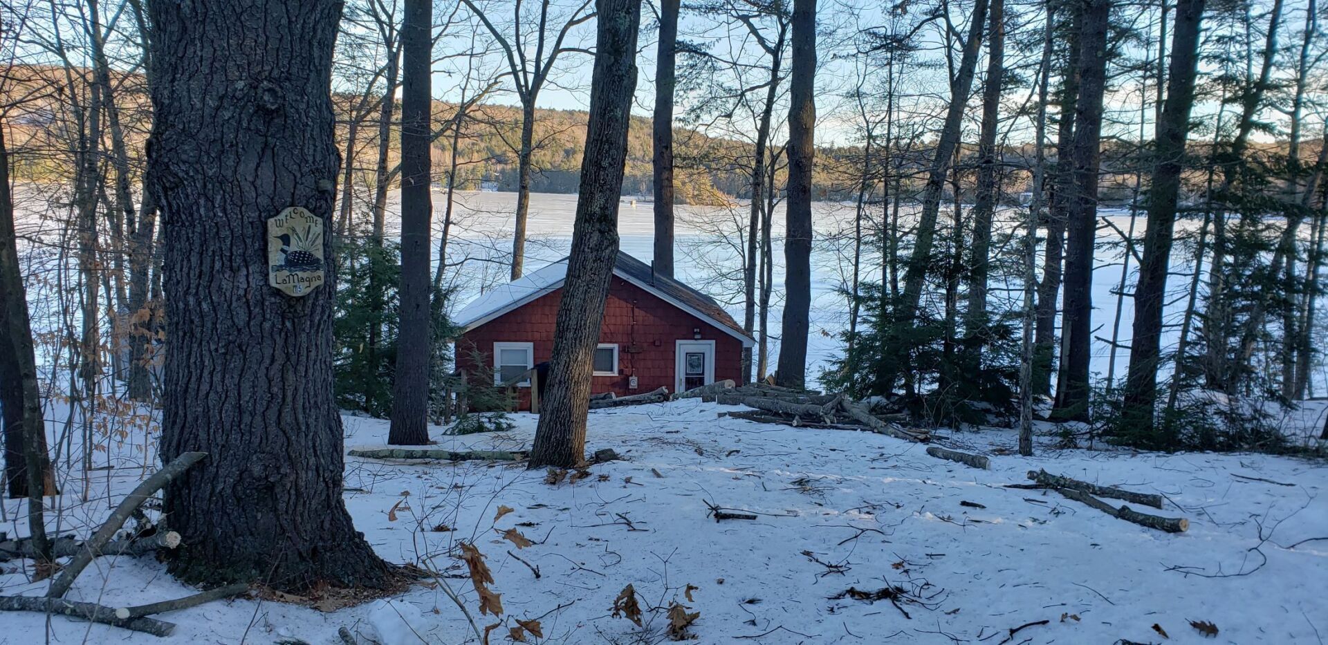 A red house is sitting in the middle of a snowy forest next to a lake.