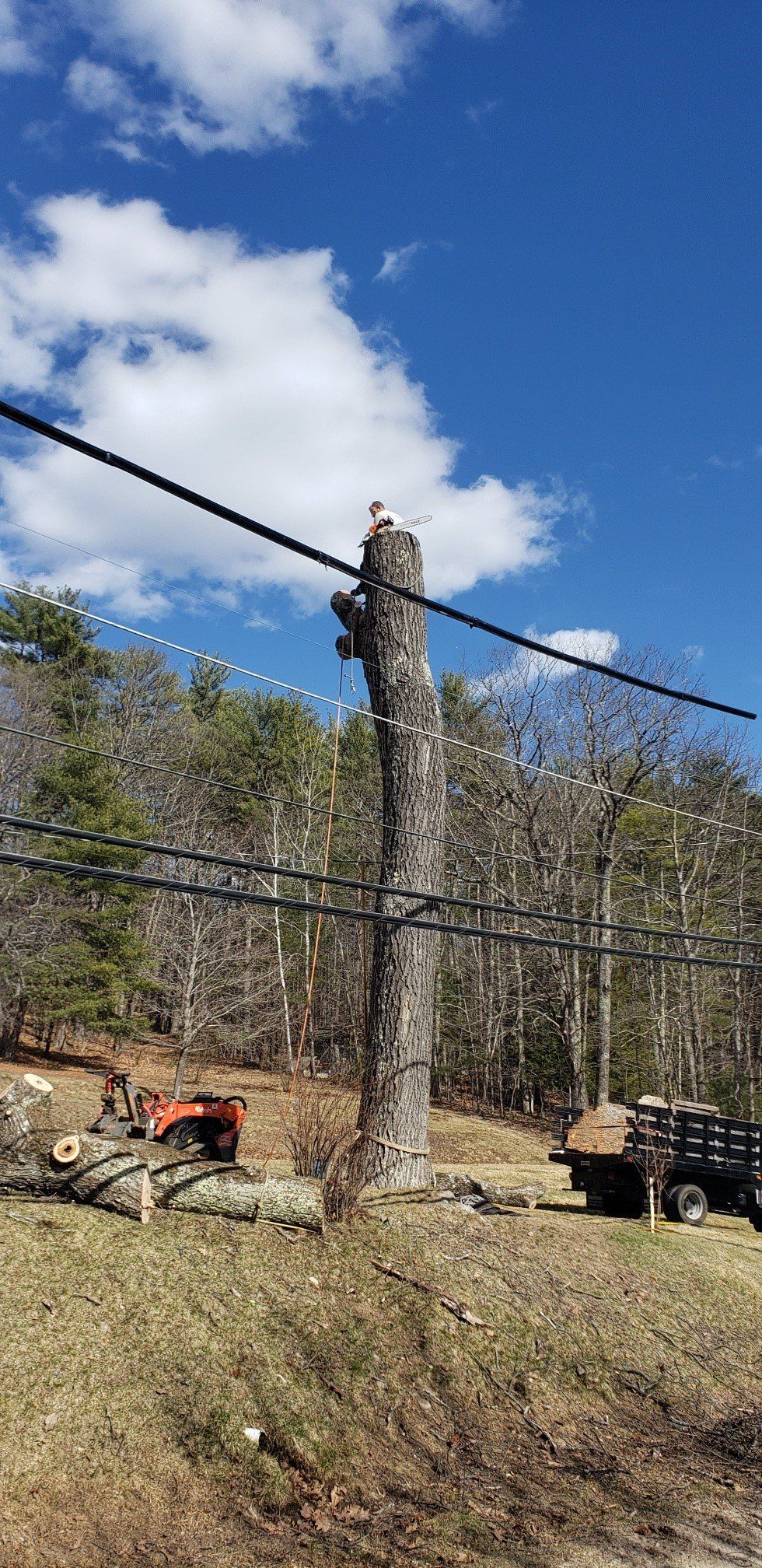 A man is climbing a tree stump next to a power line.