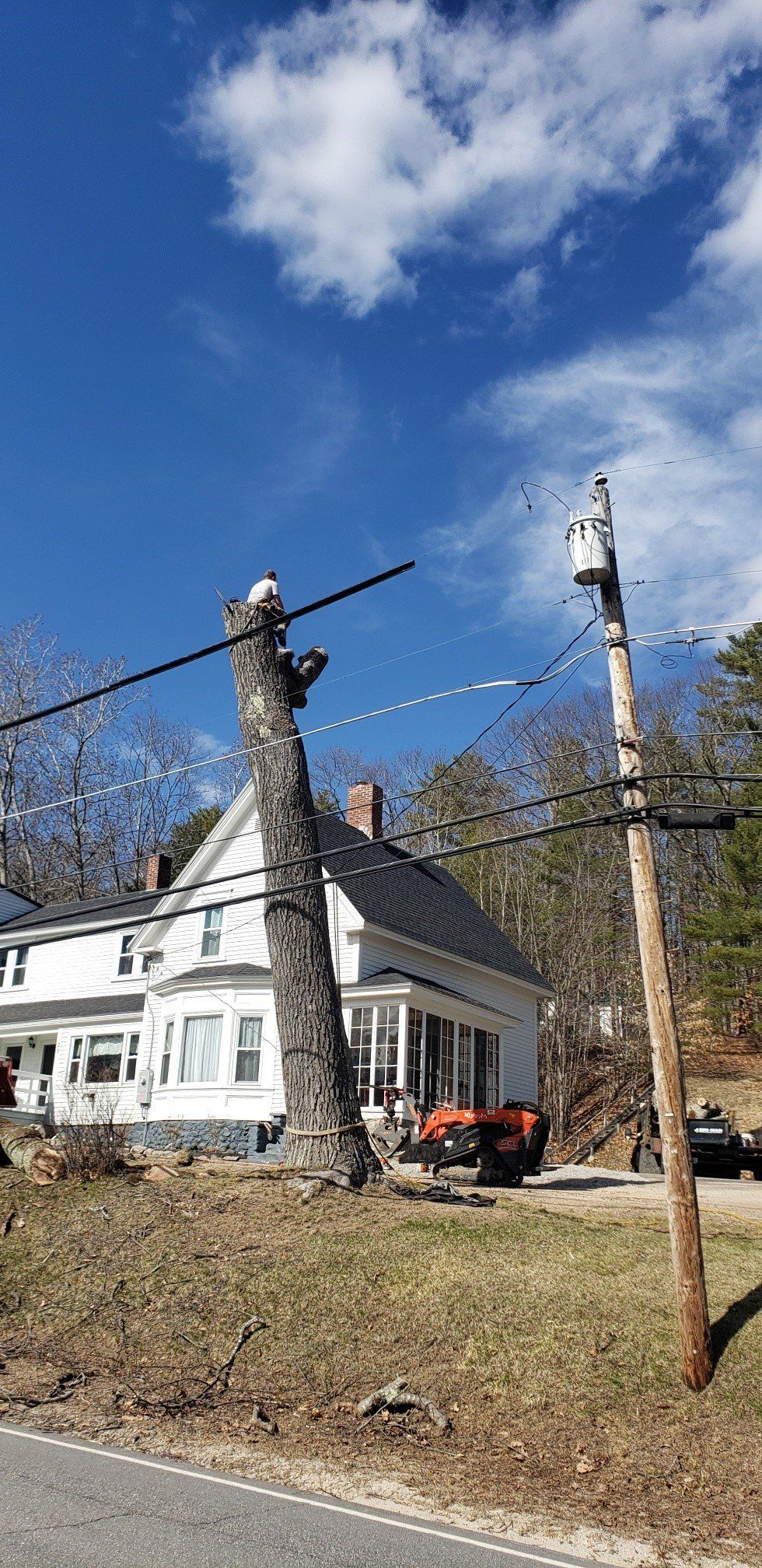 A tree is being cut down in front of a house.