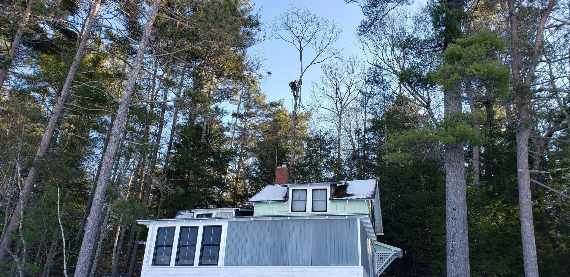 A white house is surrounded by trees in the middle of a forest.