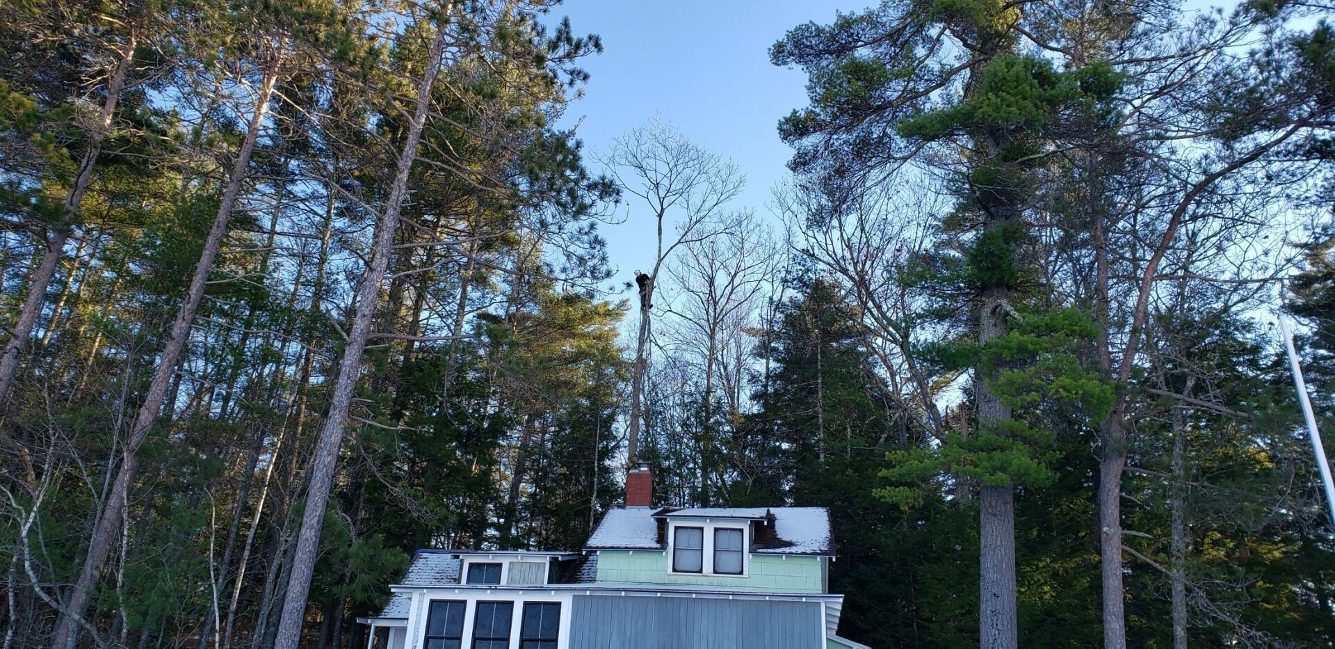 A house is surrounded by trees in the middle of a forest.