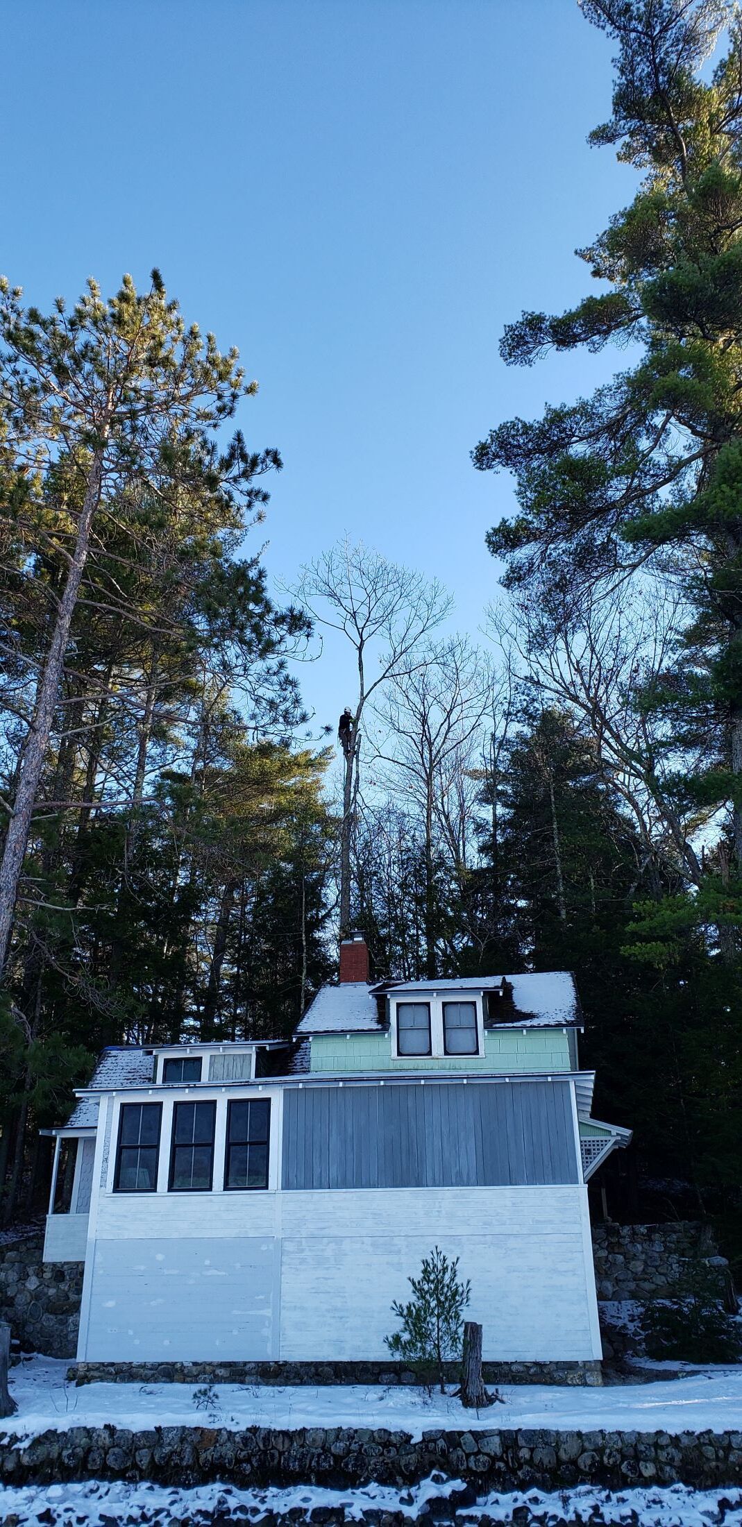A white house is surrounded by snow covered trees on a sunny day.
