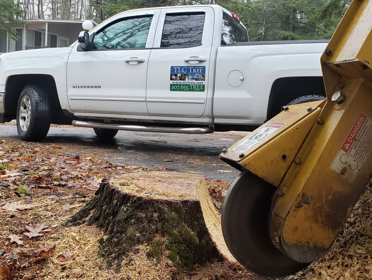 A white truck is parked next to a tree stump.