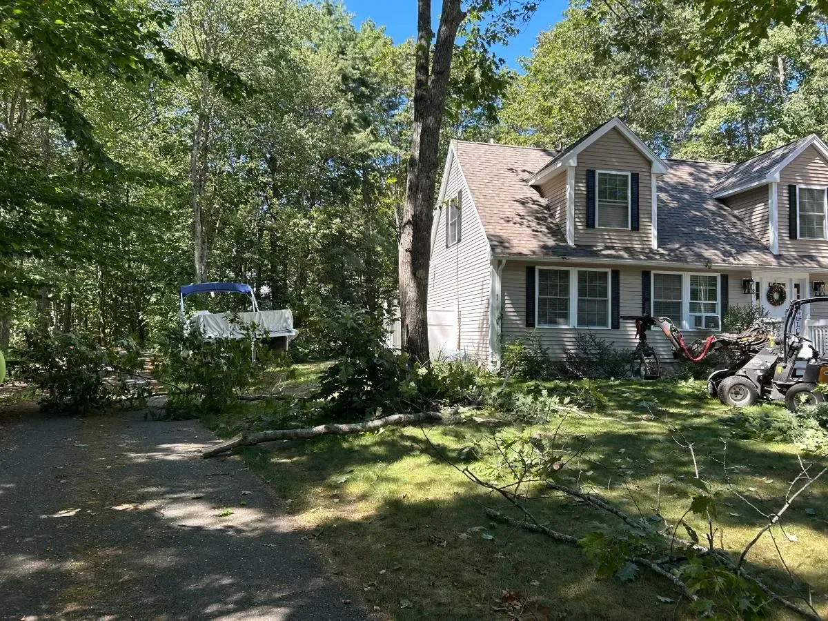 A house with tree debris in front of it, likely after a storm.