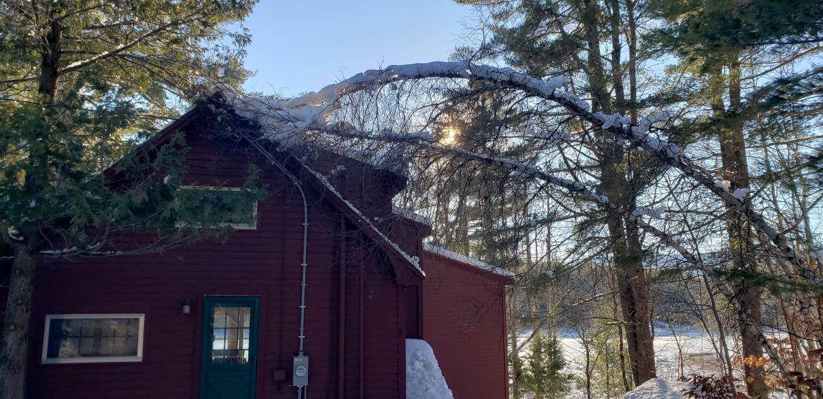 A small red house in the middle of a snowy forest.