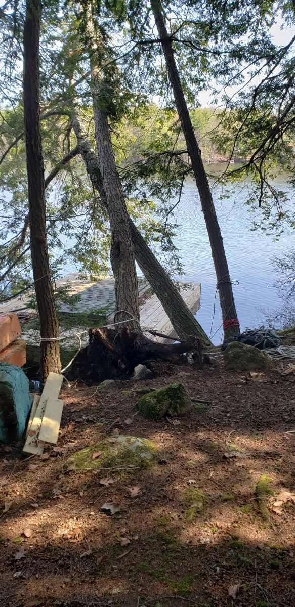 A person is sitting in the woods near a lake.