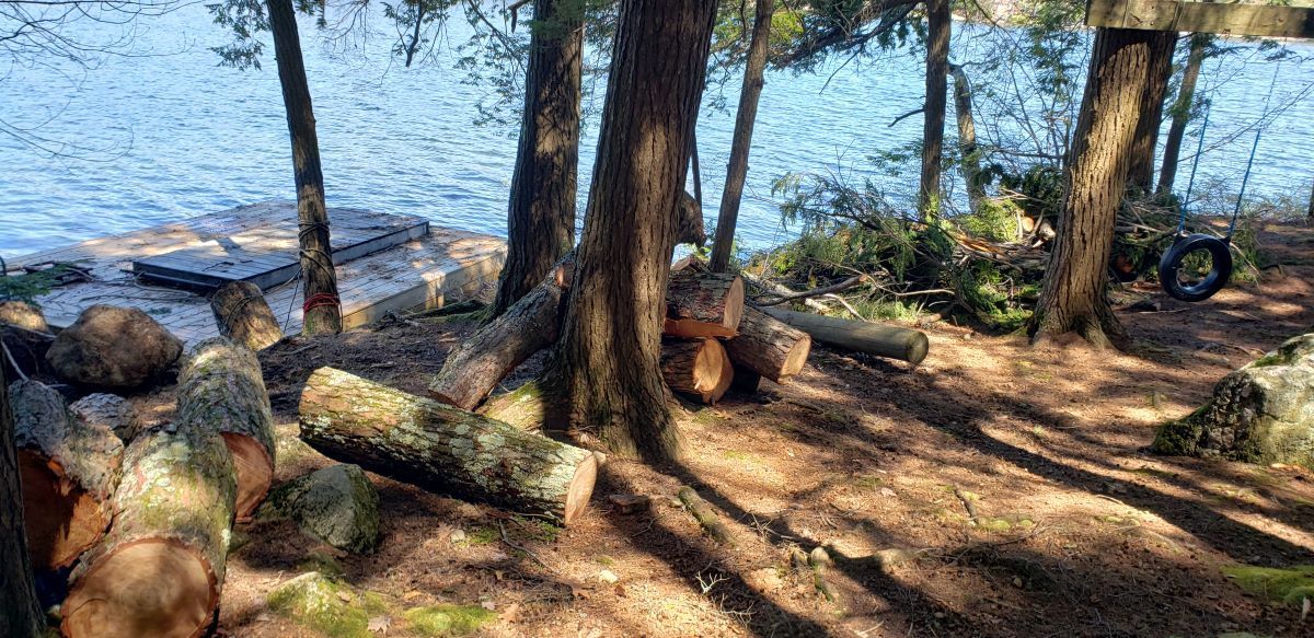 A pile of logs laying on the ground next to a body of water.