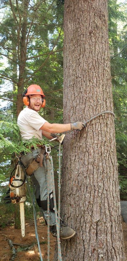 A man is climbing a tree with a chainsaw.