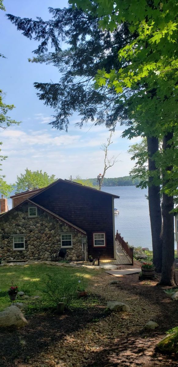 A house with a view of a lake is surrounded by trees.