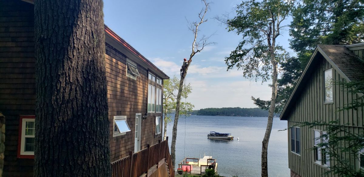 A couple of houses next to a lake with a boat in the water.