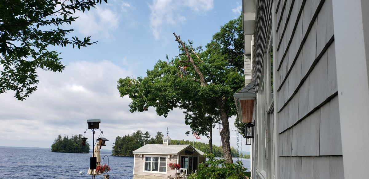 A small house is sitting on the shore of a lake.