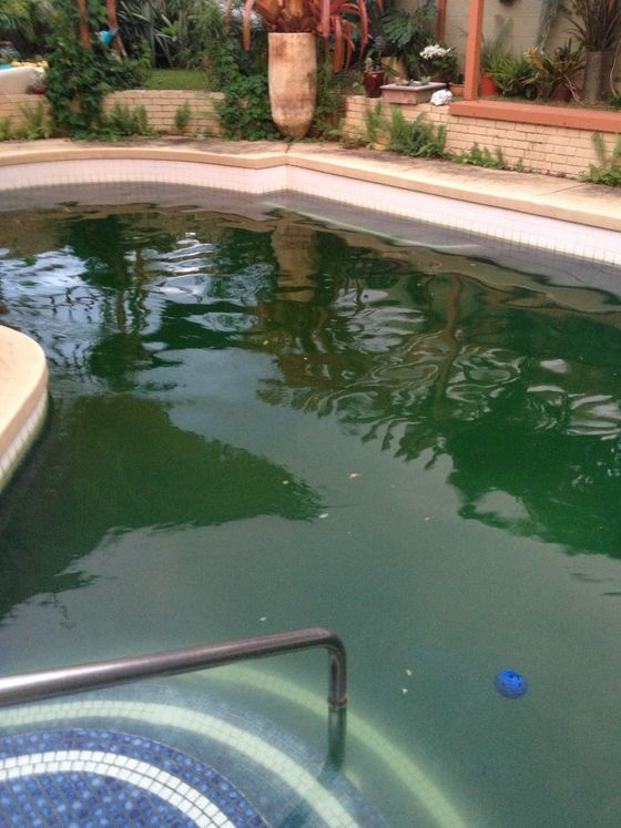 Residential pool in Kailua, HI before analysis and cleaning