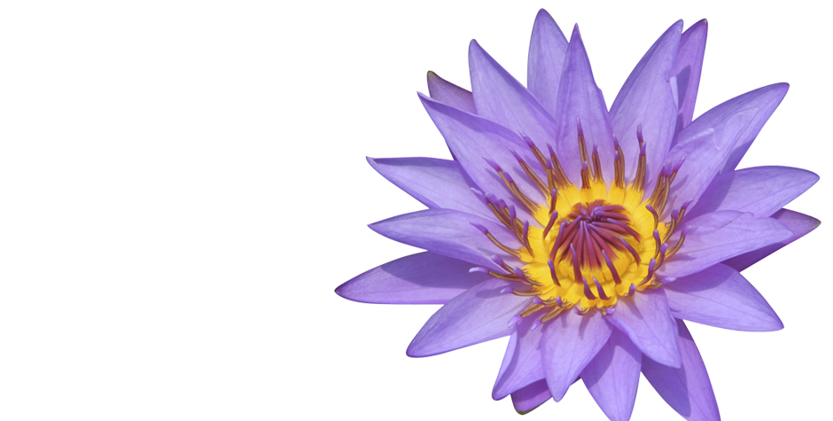 Chinese Medicine Doctor Sydney