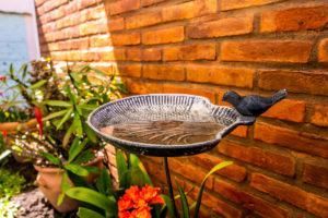 Un bebedero para pájaros sobre un pedestal junto a una pared de ladrillos con macetas y flores en un jardín.