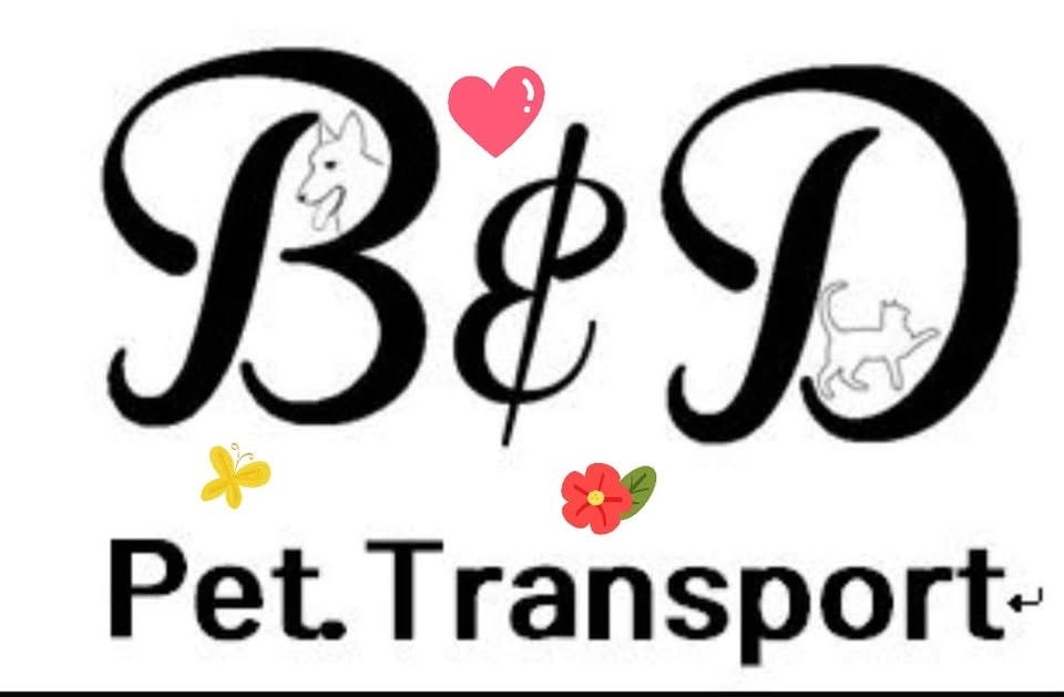 B & D Pet Transporter