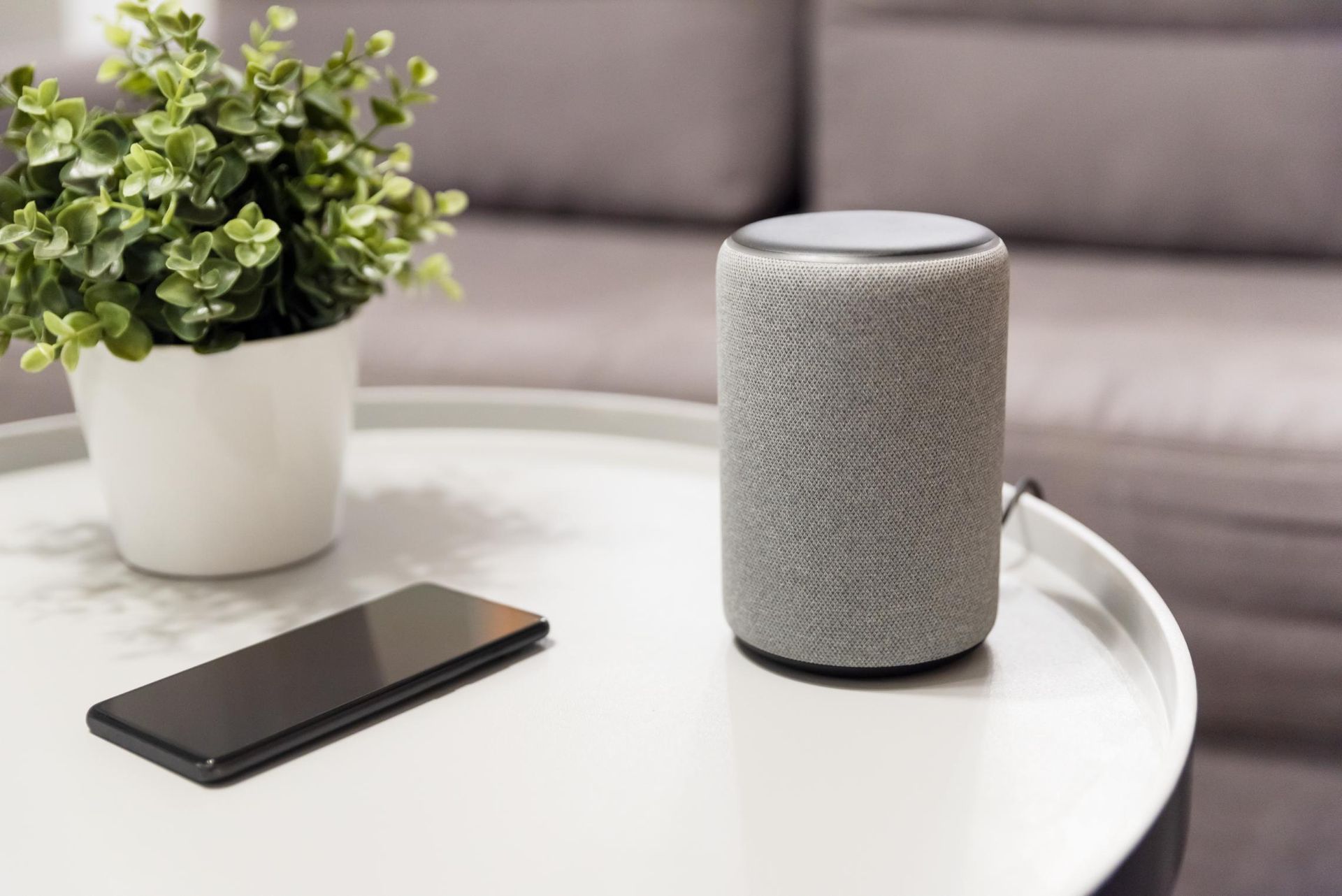 Smart speaker, smartphone, and potted plant on a white table in a living room.