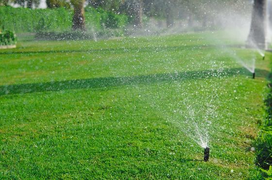 Sprinkler Design — Sprinklers Pouring The Landscape Grass in Lehigh Acres, FL
