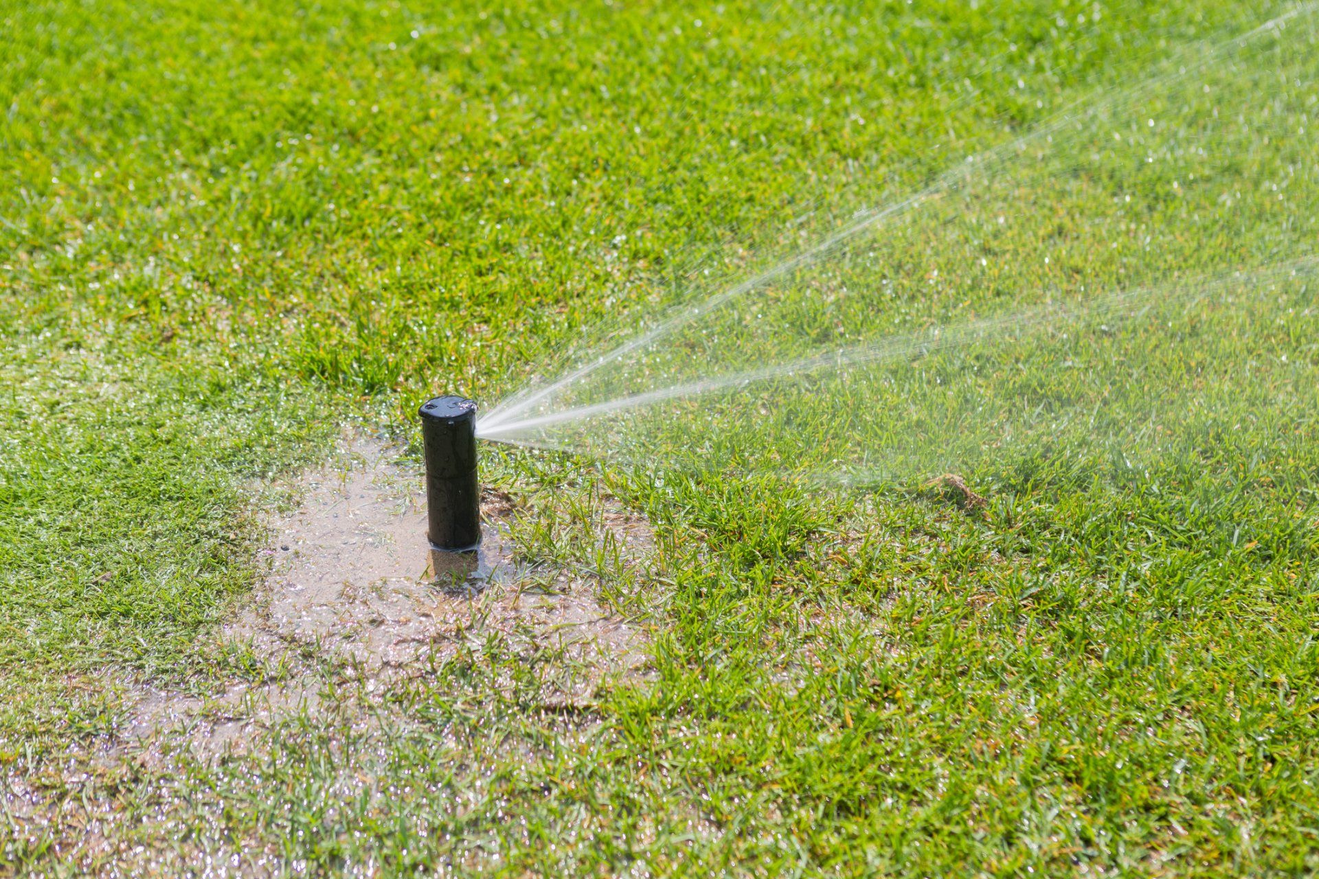Leaking Sprinkler — Repairing The Leaking Sprinkler in Lehigh Acres, FL