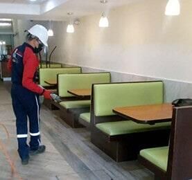 ASESORÍA EN MANEJO INTEGRADO DE PLAGAS FUMIPLAG - SANITIZACIÓN DE RESTAURANTES