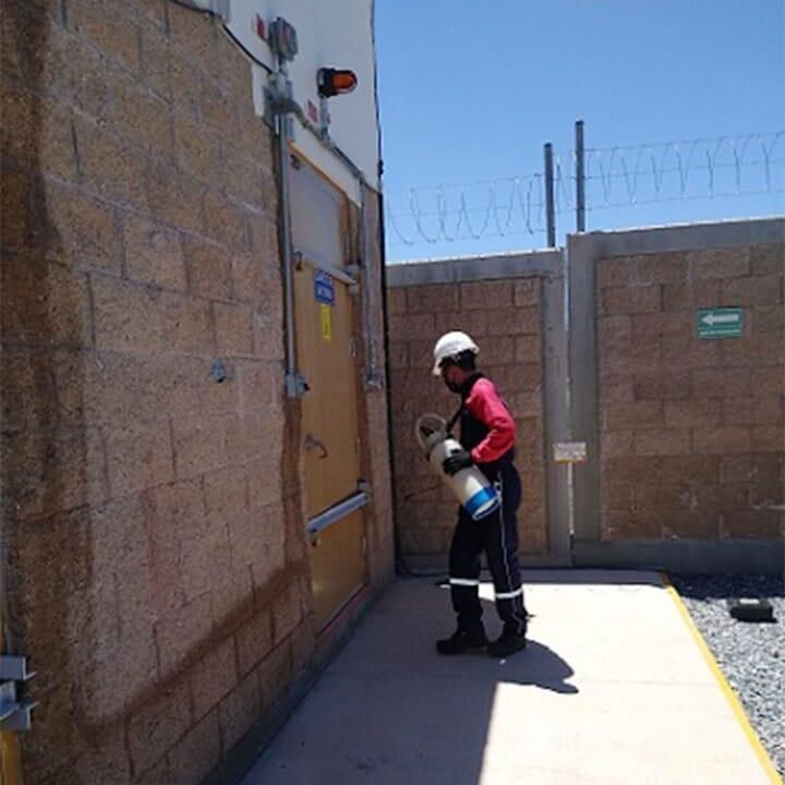 ASESORÍA EN MANEJO INTEGRADO DE PLAGAS FUMIPLAG - SERVICIO DE FUMIGACIÓN