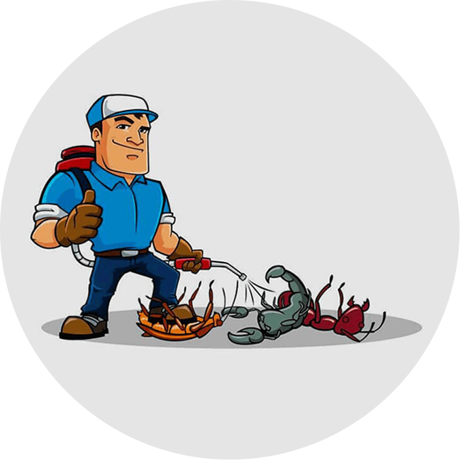 ASESORÍA EN MANEJO INTEGRADO DE PLAGAS FUMIPLAG