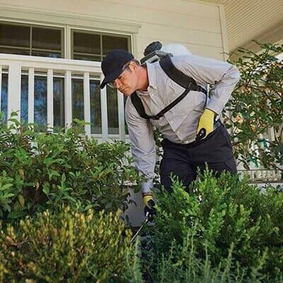 ASESORÍA EN MANEJO INTEGRADO DE PLAGAS FUMIPLAG - FUMIGACIÓN DE JARDÍN