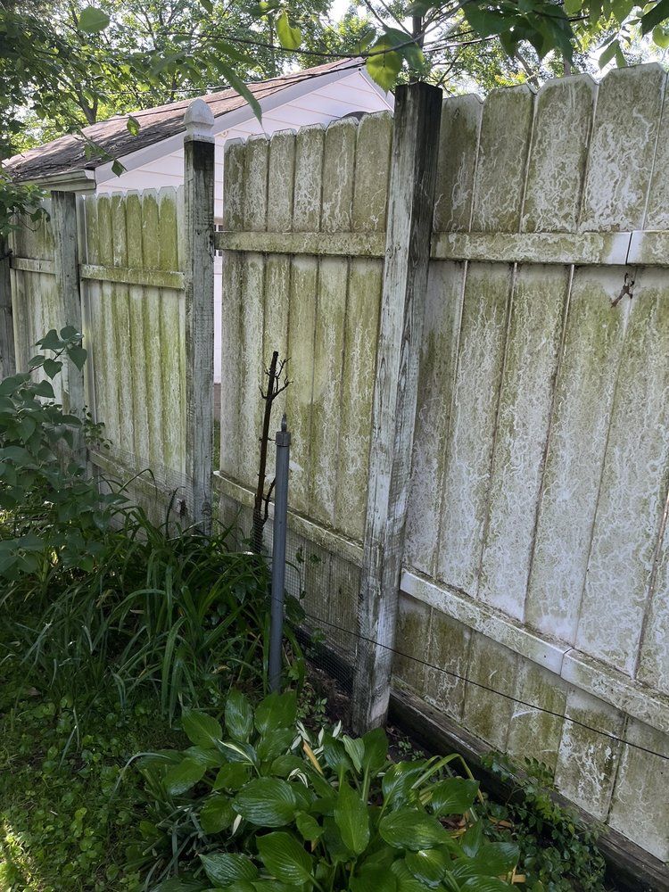 Weathered wooden fence with green algae, next to overgrown plants in a yard.