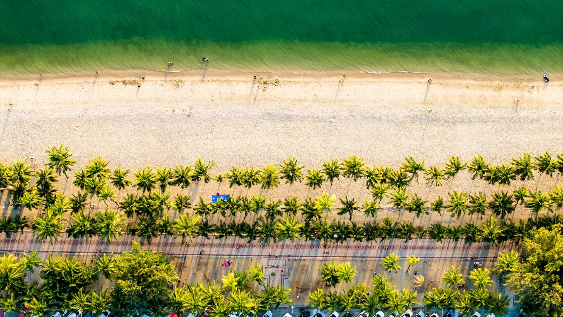 从空中俯瞰，可以看到一片沙滩，沙滩呈浅色，棕榈树成排，海水碧绿。
