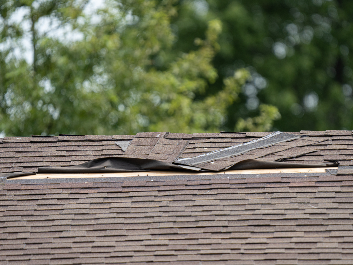 Damaged brown roof with missing shingles, exposing underlayment.